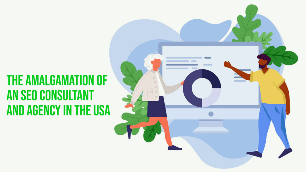 The Amalgamation of an SEO Consultant and Agency in the USA
